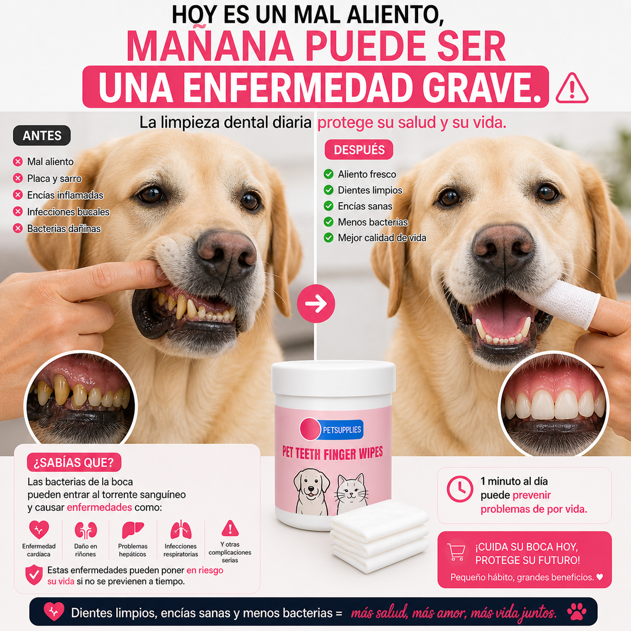 “Limpia los dientes de tu perro o gato en segundos, sin cepillo, sin estrés y sin mal aliento.”