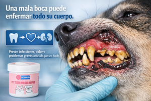 Tu mascota podría estar sufriendo en silencio. El mal aliento es un aviso… reacciona ya